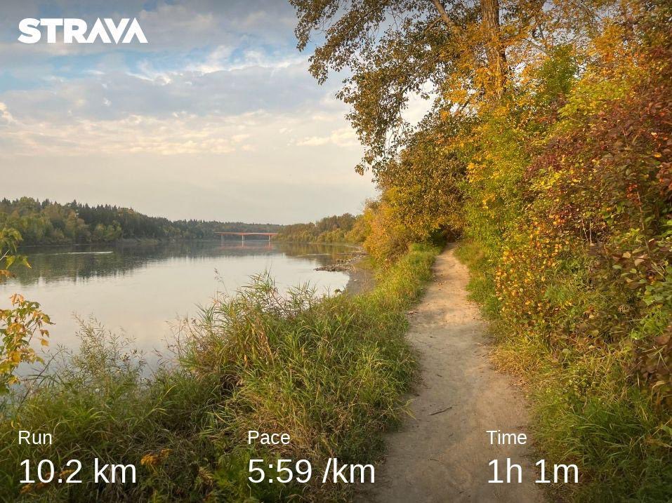Caseychoma's tweet image. Beautiful morning run through the best of fall. Barring no more smoke today an afternoon wedding and some good ole yard time.  Enjoy your Sunday runs! #yegvirtualrunningclub #fallrunning #runchat