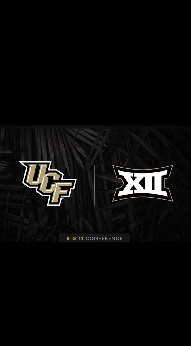 Nick Cucchi tweet media