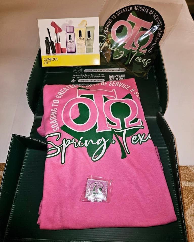 TiffTweets1014's tweet photo. Another #ChapterRetreat & #SororitySaturday in the books! #AKA1908 #OmicronTauOmega #SpringAKAs 🩷💚 https://t.co/WIZnquiT9n