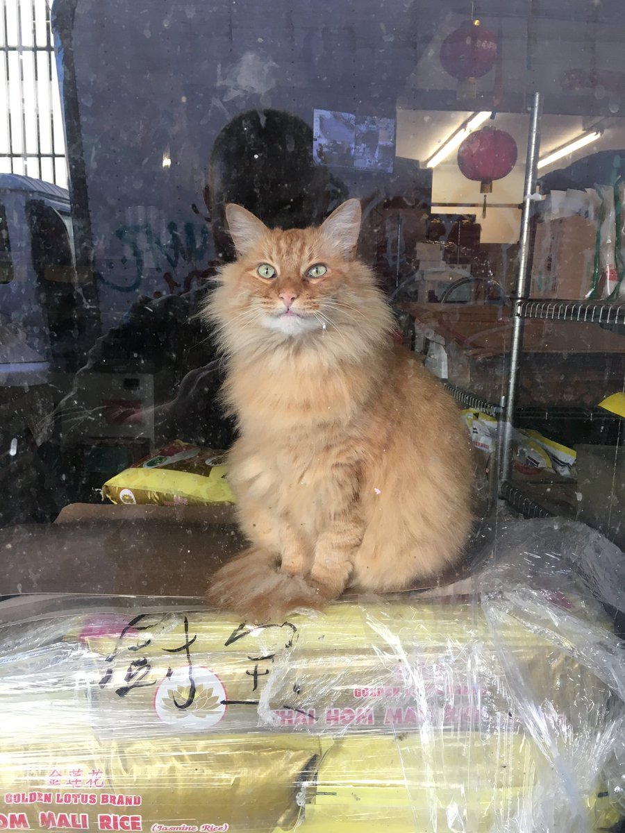 Chris Labarthe tweet media