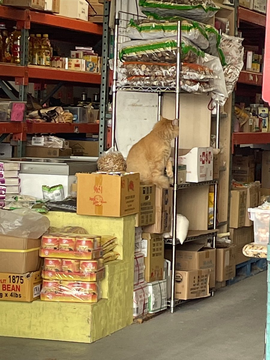 Chris Labarthe tweet media