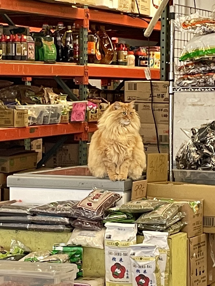 Chris Labarthe tweet media