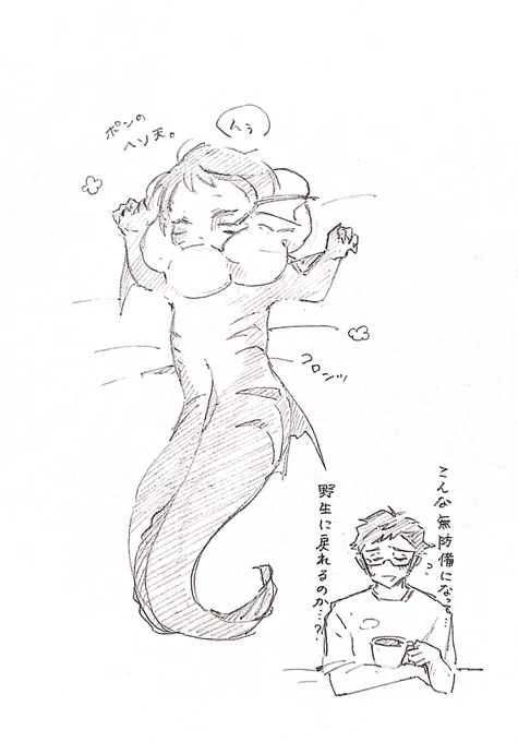へそ天 ポンデ稚魚トレジェイ🍩🐟✨ 