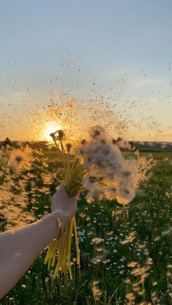make a wish