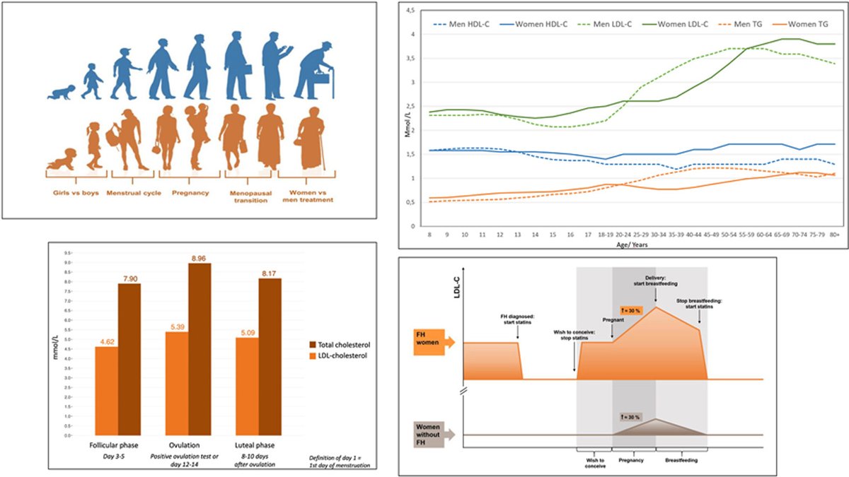 Atherosclerosis (@athjournal) on Twitter photo Lipid levels are affected by specific transition periods in girls/women such as the menstrual cycle, pregnancy, breastfeeding and menopause
🔗atherosclerosis-journal.com/article/S0021-…
<a href="/HolvenKirsten/">Kirsten Holven</a> <a href="/j_rvl/">Jeanine RvL</a> <a href="/society_eas/">European Atherosclerosis Society</a> Lipid levels are affected by specific transition periods in girls/women such as the menstrual cycle, pregnancy, breastfeeding and menopause
🔗atherosclerosis-journal.com/article/S0021-…
<a href="/HolvenKirsten/">Kirsten Holven</a> <a href="/j_rvl/">Jeanine RvL</a> <a href="/society_eas/">European Atherosclerosis Society</a>