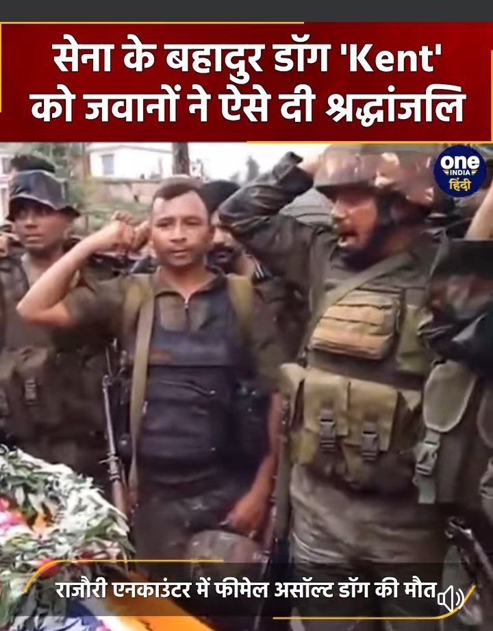 @HarishK07108327 @AmitShah @narendramodi @DefenceMinIndia @Manekagandhibjp This is the reality..today the whole army community mourning the death of Kent dog and on the other side they are killing the same dogs on roads.... hypocrisy