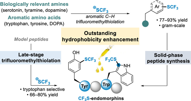 J Org Chem/Org Lett tweet media