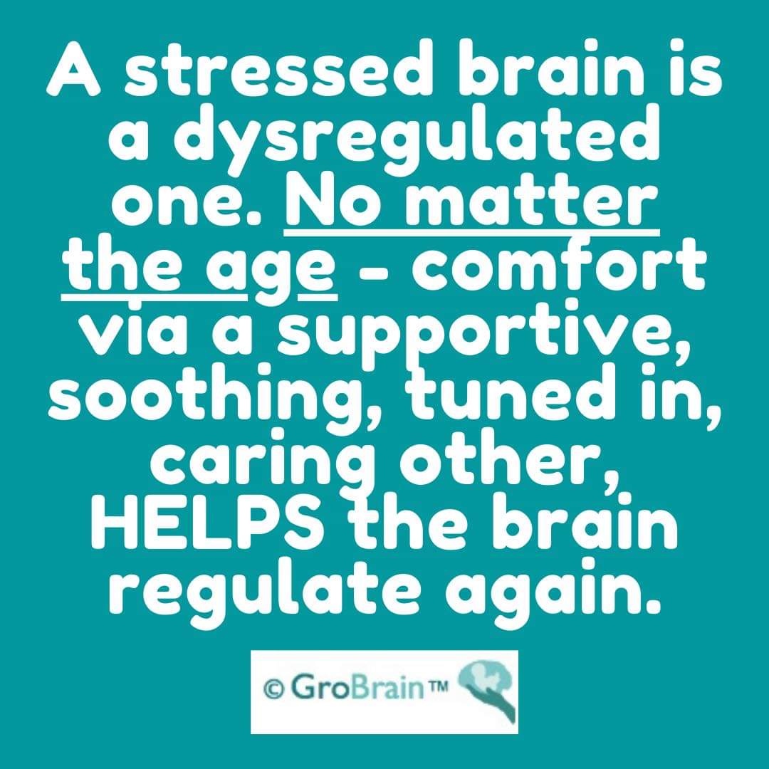 Basic neuroscience. 🧠🌱