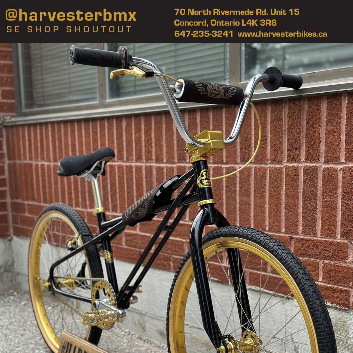 You know that <a href="/harvesterbmx/">Harvester Bikes</a>  is a bike shop powerhouse near Toronto, Canada, right? If you are ANYWHERE nearby, this shop should be on your #sebikeslife radar!💪🏽 #seshopshoutout #bikeshop #bikeshoplife #sebikes #bicycle #localbikeshop #bigripper #quadangle #bigwoody #blocksflyer