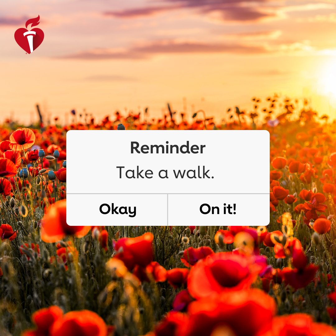 Time to move! Walking at a lively pace for 30 minutes, 5x per week (or 150-minutes weekly) can help you:

👟 Think better, feel better, sleep better.
👟 Reduce your risk of heart disease and stroke.
👟 Increase energy and stamina.
👟 Improve mental and emotional well-being.