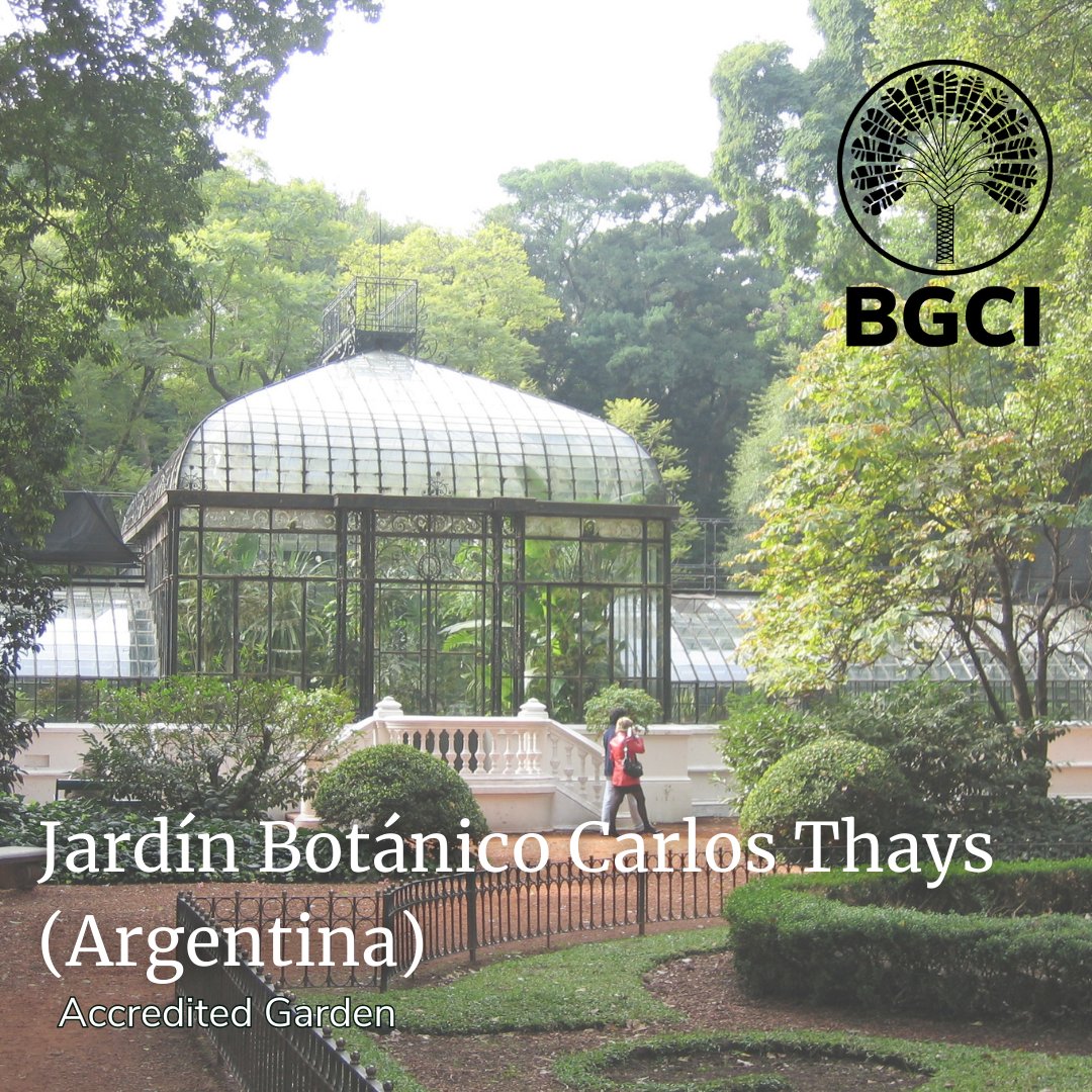 Jardín Botánico Carlos Thays is one of our incredible Accredited Gardens.
Learn more: ow.ly/Q2cv50PL4TG
#ConservationAction #BotanticGardensForConservation #GlobalConservationNetwork #BotanicGardenOpportunities #BotanicGardenServices #BotanicGardenConservation