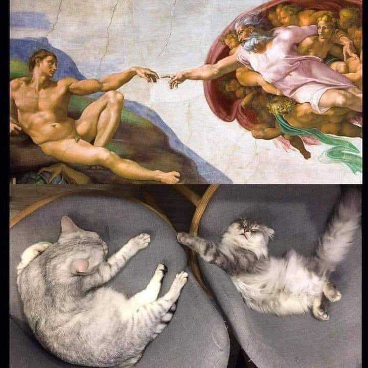 nocontextscats's tweet photo. Life imitates art https://t.co/i7FBVsG5cM