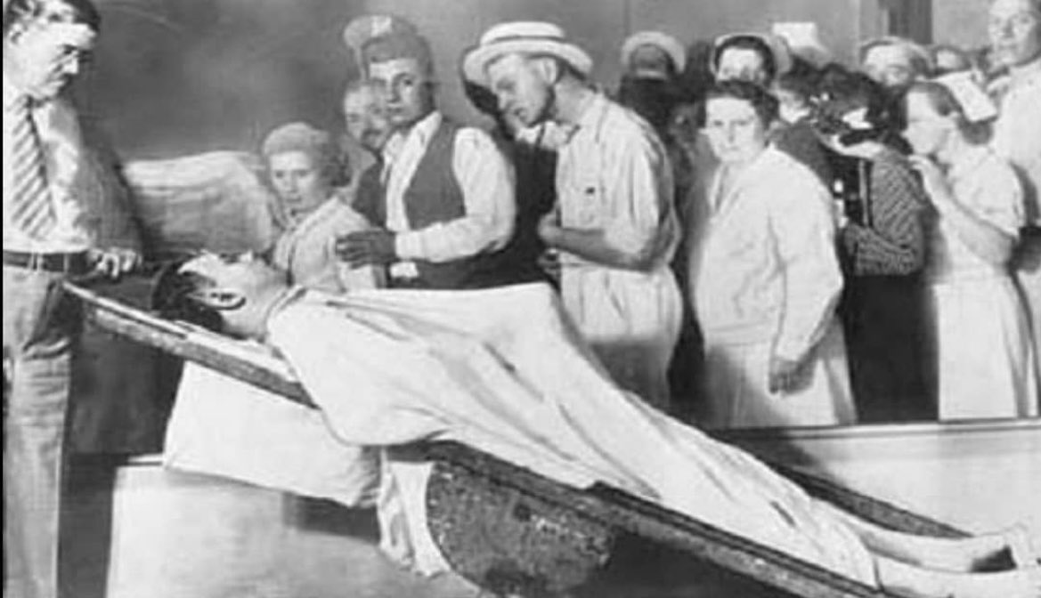 Morbid Knowledge tweet media