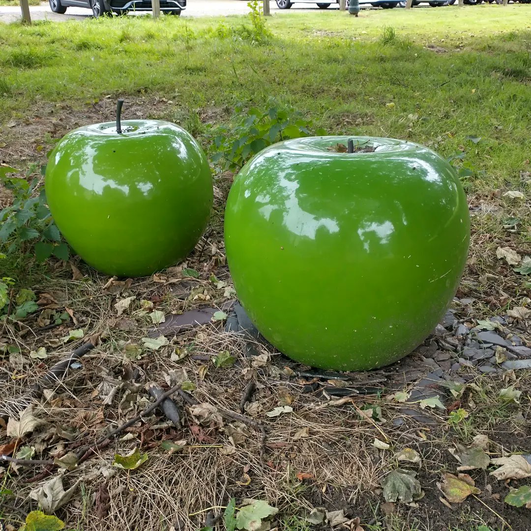 SallyRoydhouse's tweet image. I scrumped some wonderful, mixed varieties of English apples the other day and the kitchen is currently filled with the aroma of apple chutney bubbling away 🍏🍎😃 #seasonalproduce #foodforfree