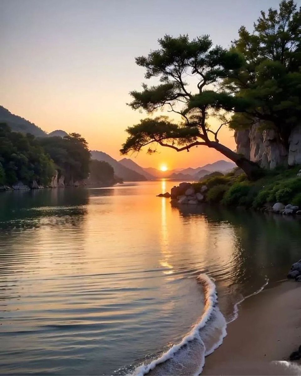 TLeoni311's tweet image. Good evening 💫 🧡