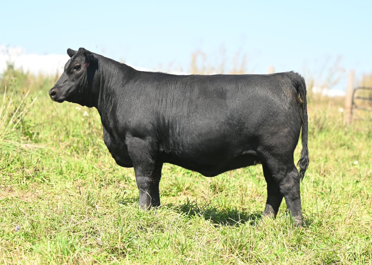 Scott MacDonald tweet media