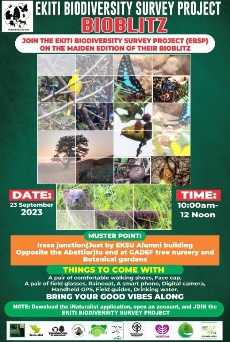 6 Days to go...

<a href="/MrOllyOwen/">Olly Owen</a> <a href="/agbovet/">Babajide Agboola</a> <a href="/ekitistategov/">Government of Ekiti State</a>