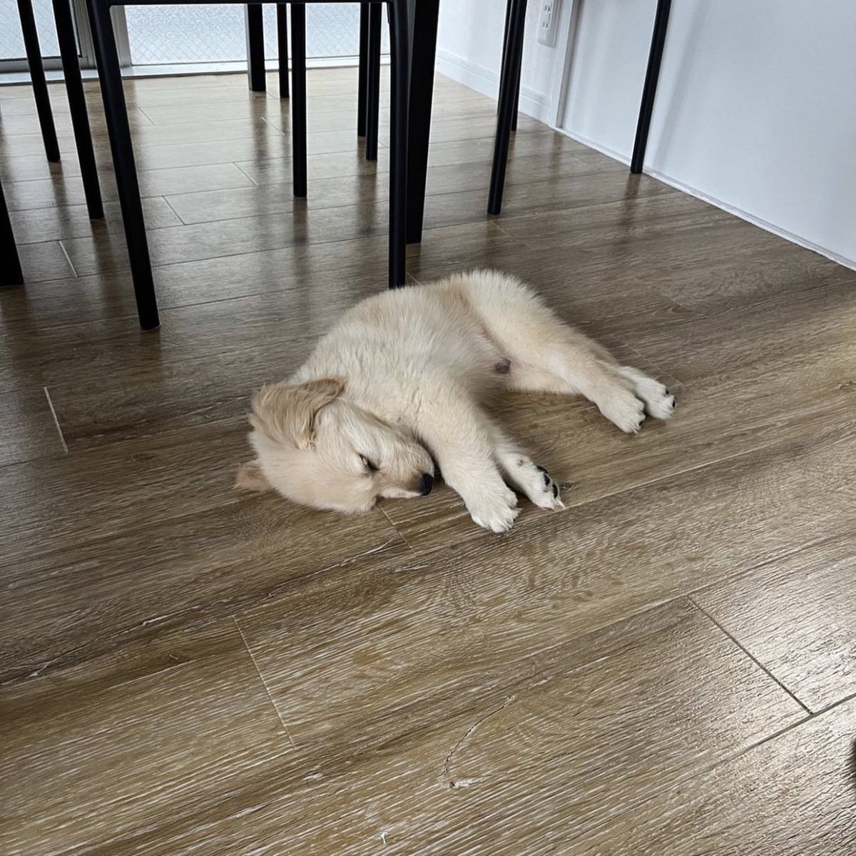 เด้นเก่า ๆ . . โดนทิ้ง