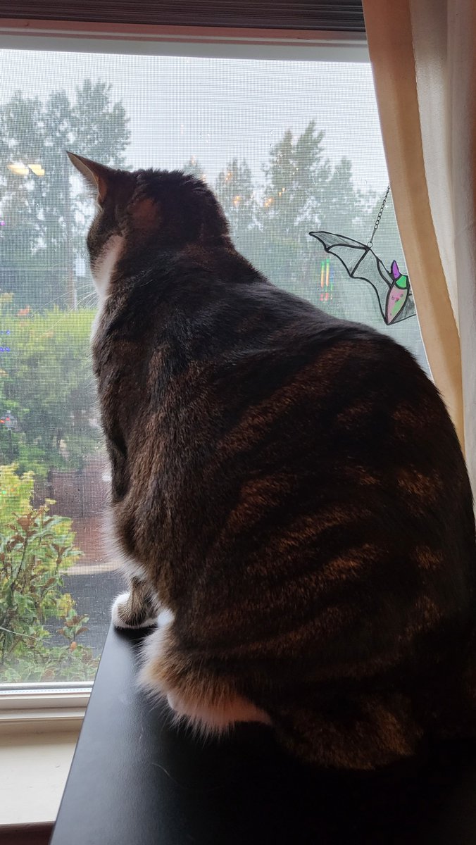 It's a lovely rainy, spooky day here in the South