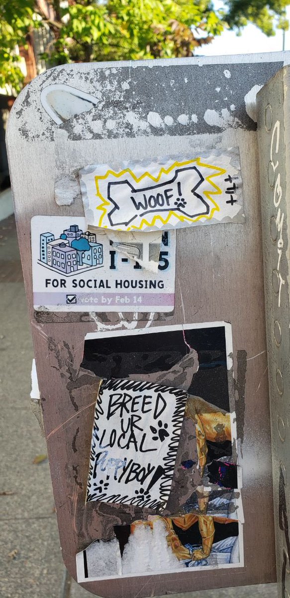 CapHill Street Art tweet media