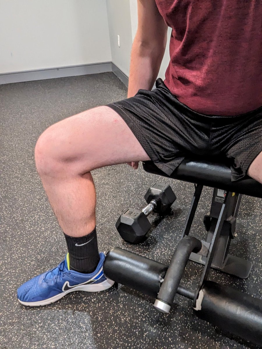 JockSocksFan's tweet photo. Sit on my cock while I lift https://t.co/FQhgIKFw0T