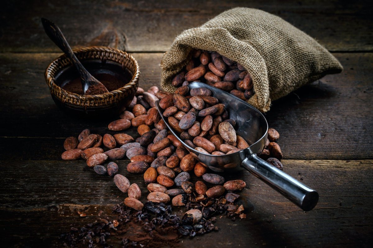Cocoa beans are packed with health benefits. Just roast them, peel the shell, and enjoy the pure cocoa nibs inside. You can eat them raw, or mix them with your favorite smoothies, oats, cereals, and even coffee. You can now buy your Cocoa Beans from #fhbites. DM us to buy!