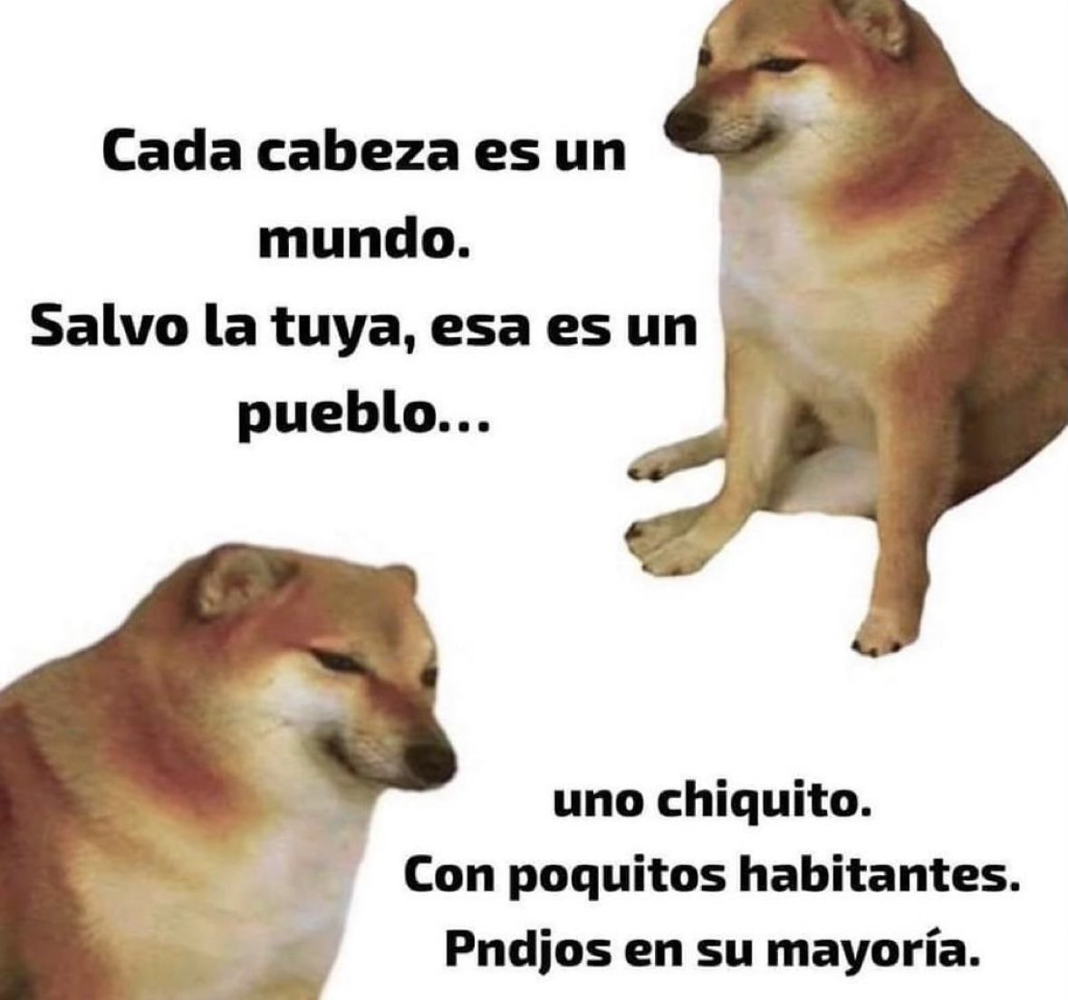 RicardoBSalinas's tweet photo. Buenos dias, para empezar el Domingo, vámonos a reírnos un poco de los seguidores de la secta destructora 😂😂😂. https://t.co/3DSFqf4bTI