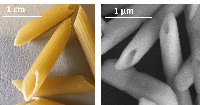 Christian Martella (@martellach) on Twitter photo Dish of the day: Tellurium pennette🍝🇮🇹.
@sqomi112 shows how to obtain “pennette-like” tellurium structures (and not only) using a double furnace reactor by <a href="/planartech/">planarTECH</a>.
Don’t miss out on the complete recipe and ingredients now published in
sciencedirect.com/science/articl… Dish of the day: Tellurium pennette🍝🇮🇹.
@sqomi112 shows how to obtain “pennette-like” tellurium structures (and not only) using a double furnace reactor by <a href="/planartech/">planarTECH</a>.
Don’t miss out on the complete recipe and ingredients now published in
sciencedirect.com/science/articl…