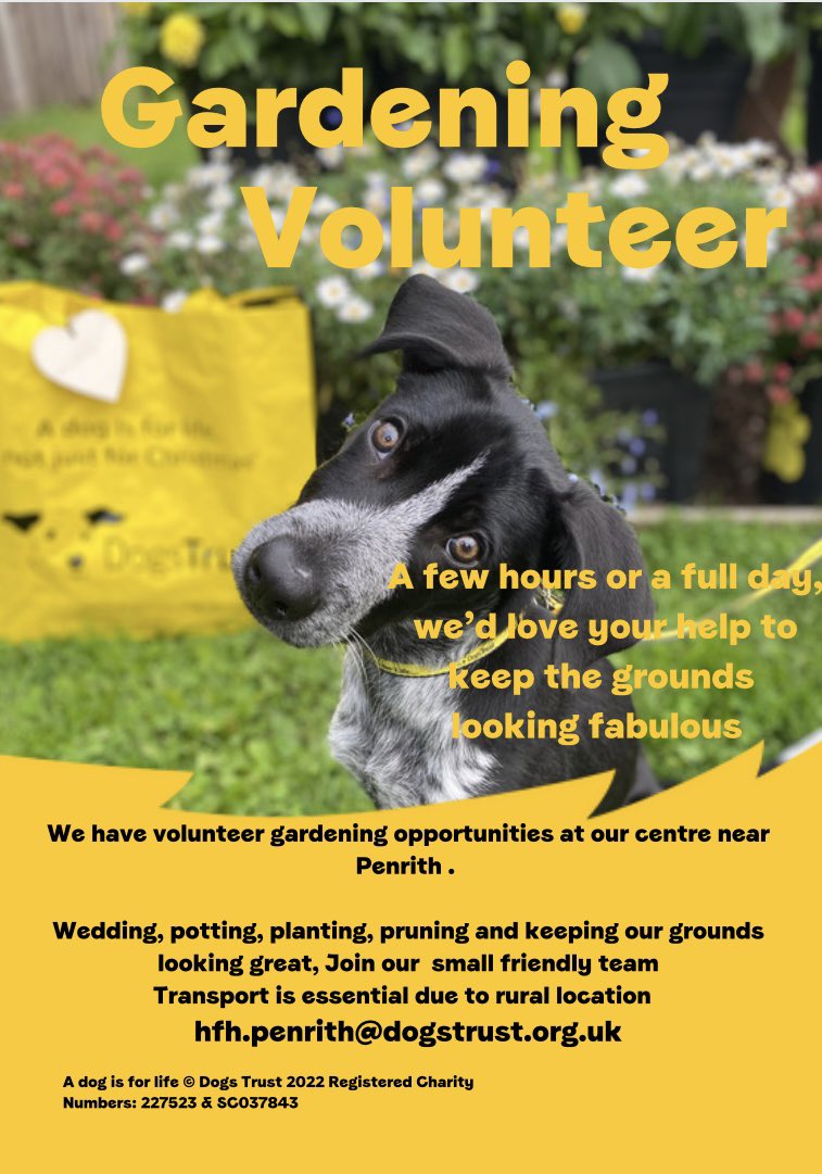 DT_Cumbria's tweet photo. Volunteer gardening opportunities within our small team near Penrith. Get in touch 🌱 🌳👩‍🌾👨‍🌾 #volunteering #gardening #dosomethingworthwhile https://t.co/dvCJi3gfae