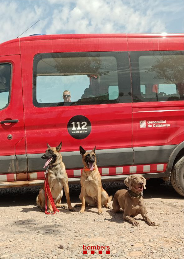 #Bomberscat retornem del Marroc després de 5 dies de prestar suport en recerca de persones i atenció als damnificats pel terratrèmol del passat 8 de setembre. Nota de premsa 👇
govern.cat/salapremsa/not…