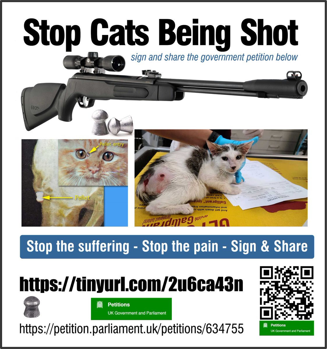 The number of #cats shot in #northwales is on the increase. Currently there is no register when an #airweapon is bought. 
Stop the #cruelty 
petition.parliament.uk/petitions/6347…
Please sign/share the petition for mandatory licensing of air weapons. 4 days left
#AnimalCruelty #SundayThoughts
