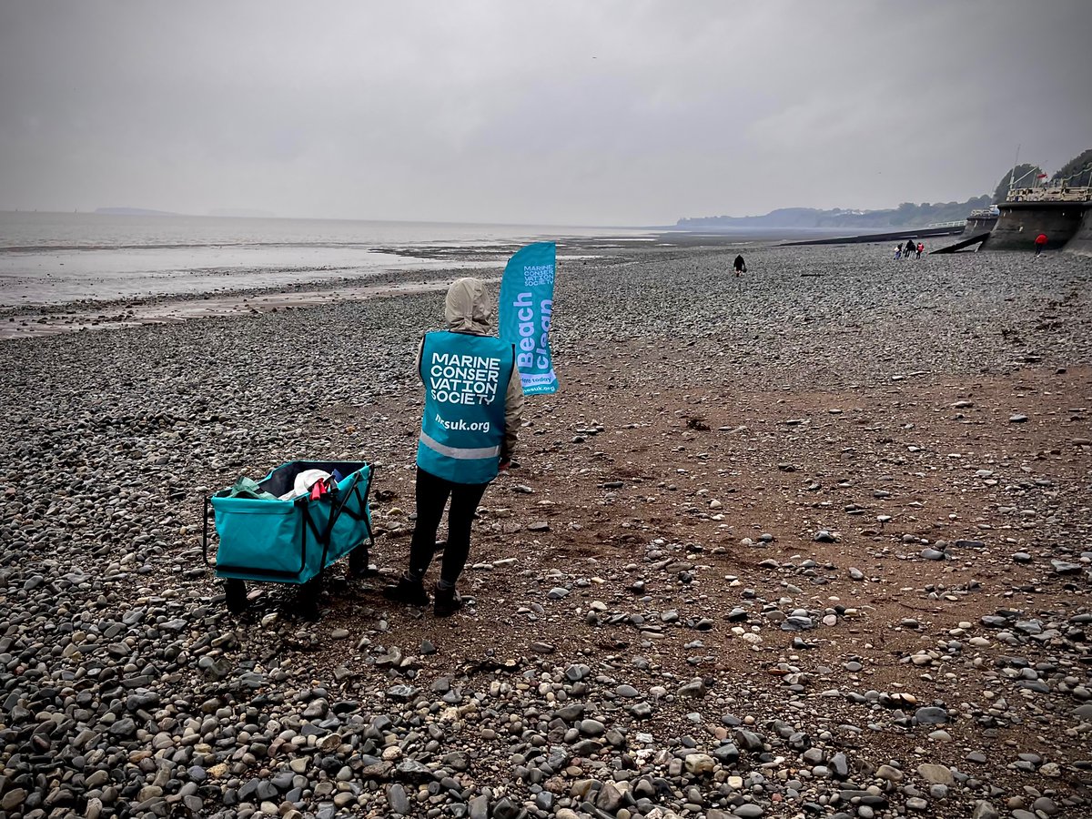 Owen Glyn Derbyshire (@owenderbyshire) on Twitter photo Today I joined volunteers at Penarth Beach who’d all braved the rain to do their bit.
So wonderful to meet the sponsors (<a href="/cullyandsully/">Cully & Sully</a>) too, who travelled all the way from Cork to support. Brilliant effort! Today I joined volunteers at Penarth Beach who’d all braved the rain to do their bit.
So wonderful to meet the sponsors (<a href="/cullyandsully/">Cully & Sully</a>) too, who travelled all the way from Cork to support. Brilliant effort!