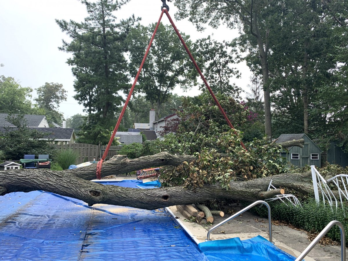 Gartonsrigging's tweet photo. Hurricane season is upon us, and we're here to lend a helping hand with all your cleanup needs. ππ Our experienced team is ready to assist in the aftermath of any storm. Don't hesitate to reach out. Stay safe! βπͺ #HurricaneSeason #CleanupServices #StormPreparedness #Safety https://t.co/ECoeqdatYB