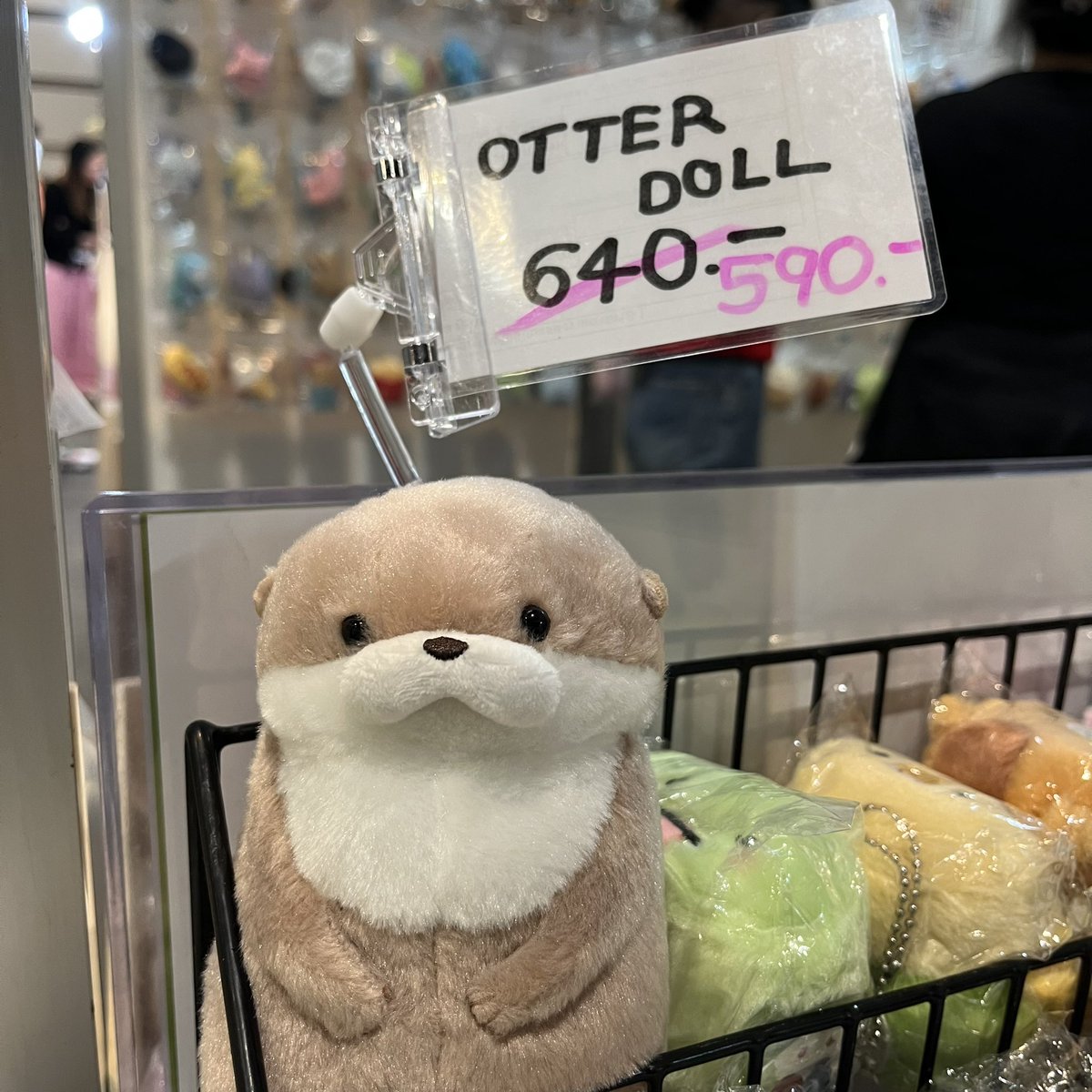 น้องน่าสงสานมาก ทุกคนรับกลับบ้านไปเถอะนะ