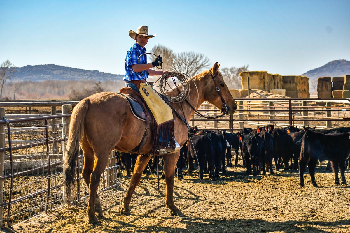 DudeRanchers's tweet photo. Dude Ranches are the perfect place for your kids to learn to rope and ride! 
#duderanchforkids #duderanchvacation #duderanchhorses #horsemanshiplessons https://t.co/cqhVzV3ZUR