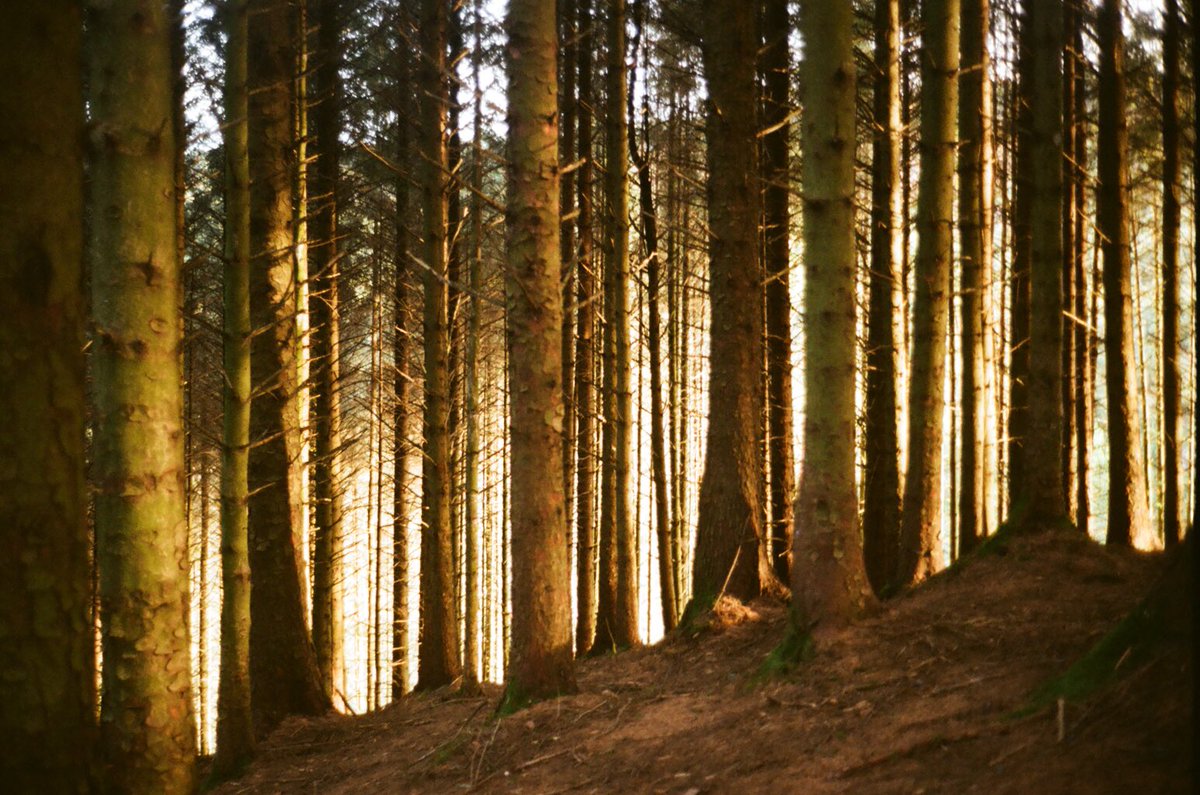 Join us in slowing down this Sunday.

We've compiled a list of things that mean 'slow living' to us. 

Expect ramblings, recommendations and beautiful film photos from our good friends Tom &amp; Fede. 

Have a read &amp; subscribe: bit.ly/44S58dX