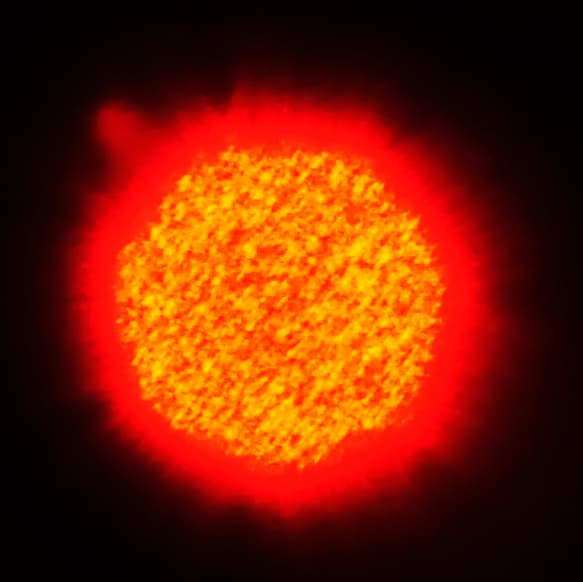 ligedw's tweet photo. Pseudo sun#Sun
#nikon#sun https://t.co/zTGnow5g4M