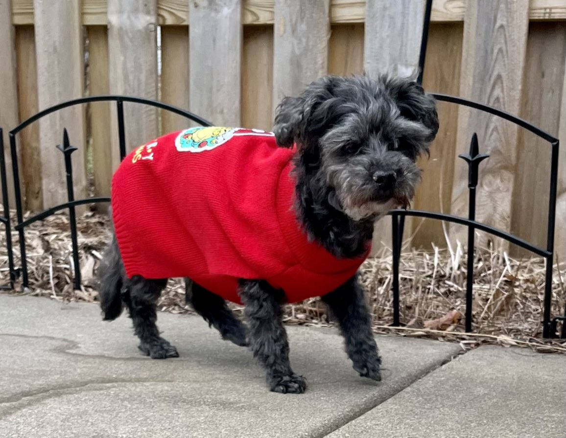 Patrick O'Connell tweet media