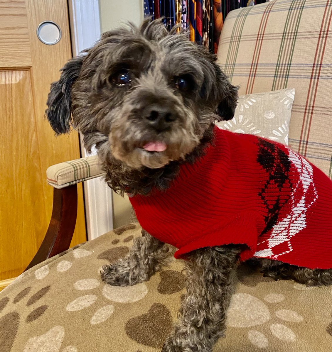 Patrick O'Connell tweet media