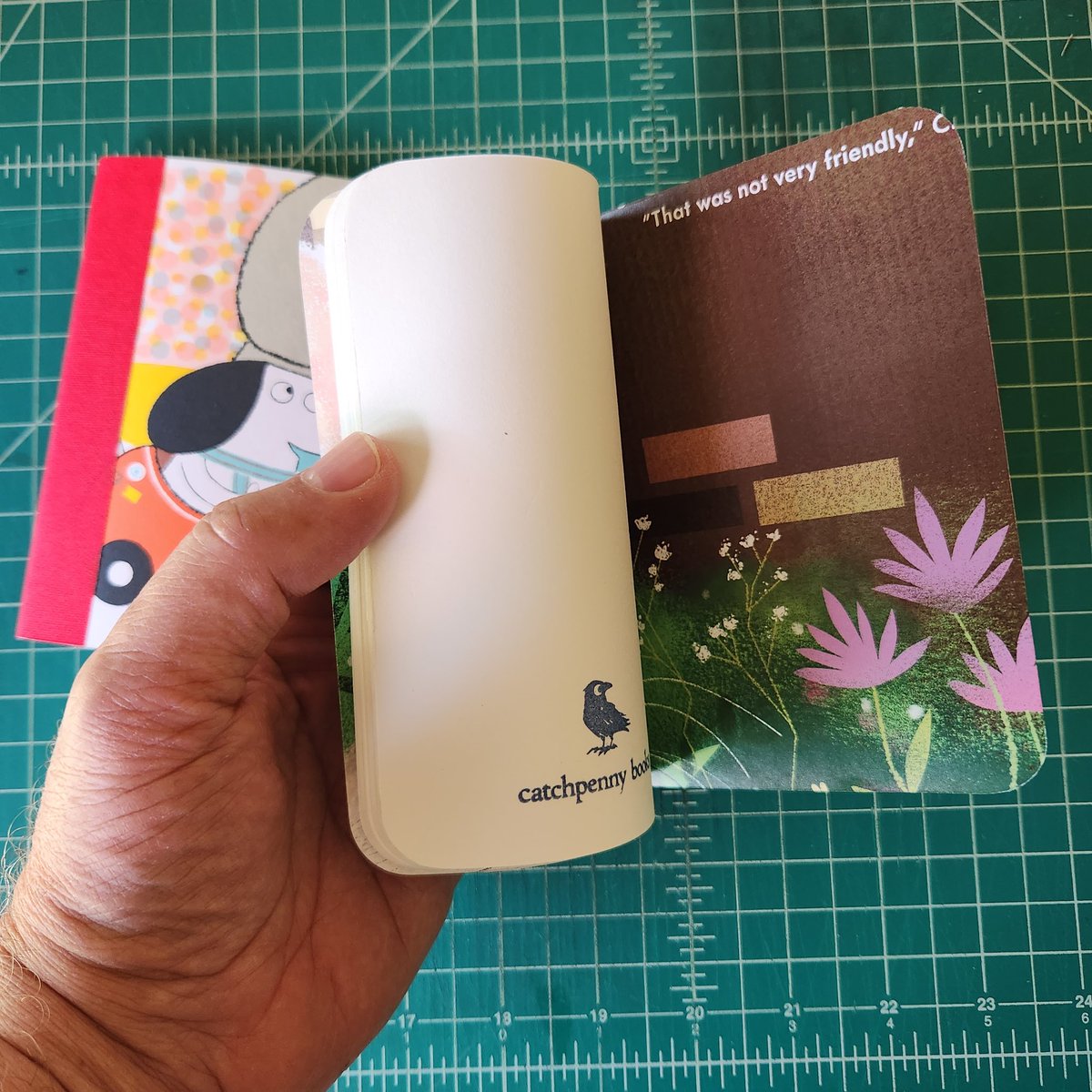 tcanny's tweet photo. A couple #catchpennybooks mini sketchbooks with picturebook pages for covers from "Number One Sam" by #GregPizzoli and "The New Kitten" by @JoyceCarolOates and illustrated by @dmott70. https://t.co/vxf2DzpTmm