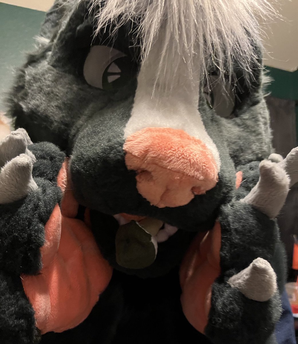 hanks for 400 y’all! Like and rt this for a chance to win a free colored headshot sketch ✍️🦨