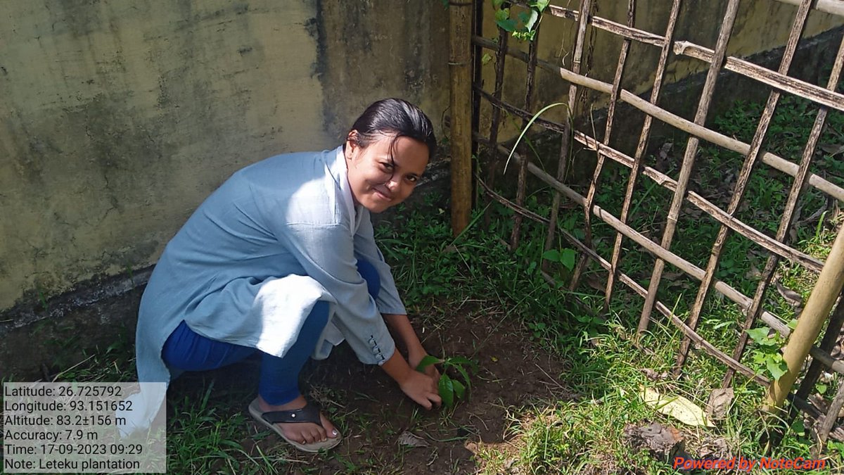 Mousumiheals's tweet photo. Tree Plantation under Amrit Briksha Andolan at Biswanath PWD(Bldg) Office
#AmritBrikshyaAndolan 
#TreePlantation 
#protectourenvironment
#Biswanath 
@himantabiswa 
@CMOfficeAssam https://t.co/rvlQ2ynZGY