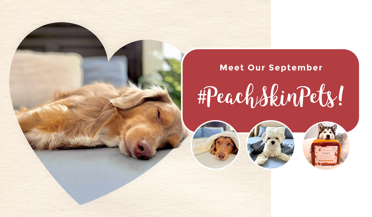 PeachSkinSheets tweet media