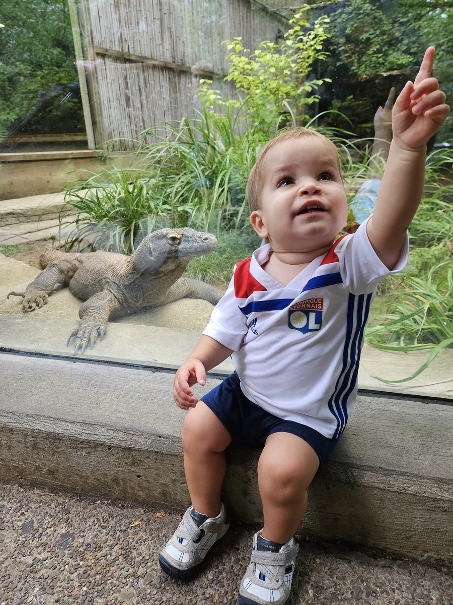 Friends - it's been a wild 18 months: 
👶 Baby boy
📲 New role at work 
🧭 Navigating this phase of life 

And I'm finally feeling back to myself - which means I miss Yinz! 💜

Tell me - what's the best thing that's happened in your world lately?!