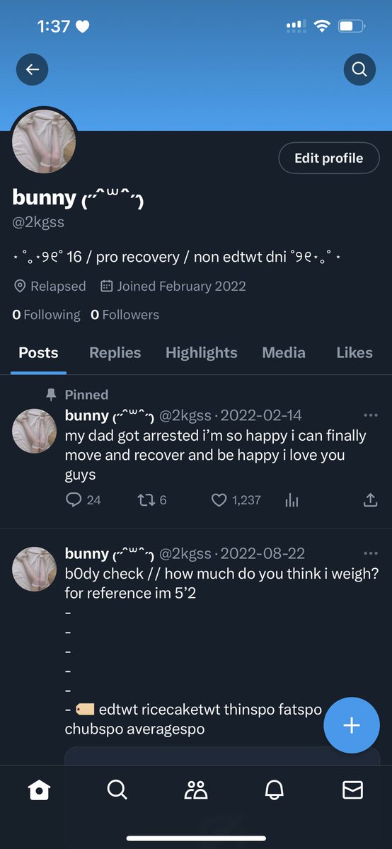 bunny tweet media