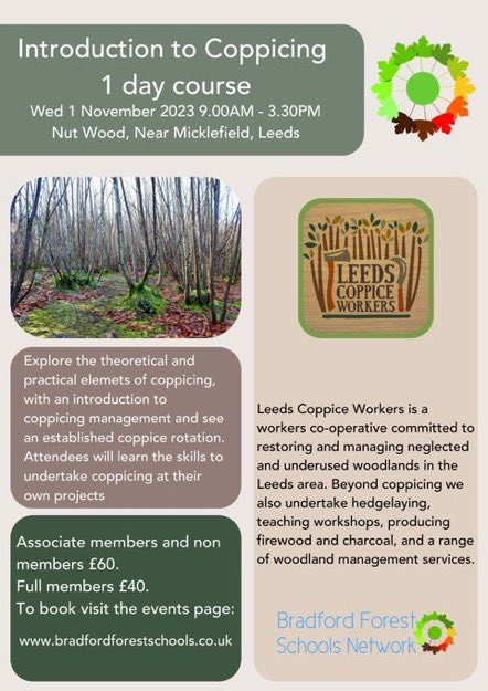 Ruth McBain tweet media