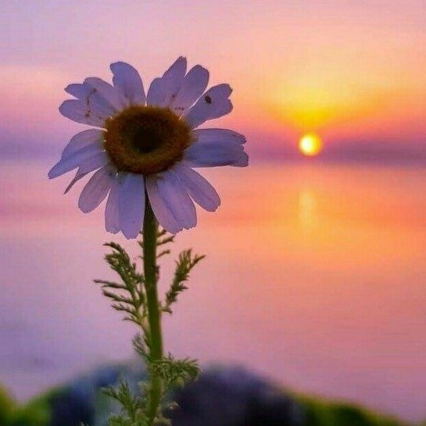 seebtree's tweet image. I am Groot