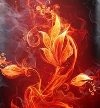 seebtree's tweet image. I am Groot 2