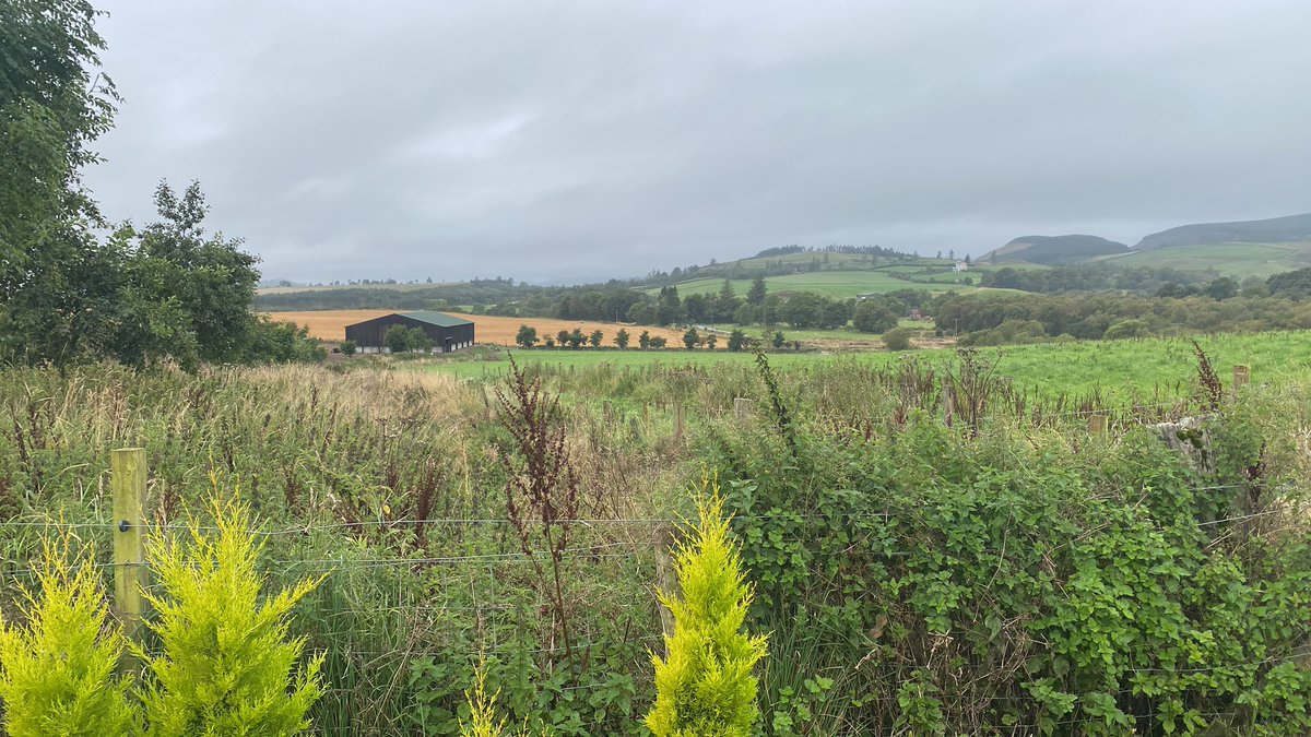 A new shed for our neighbour is nearly finished.