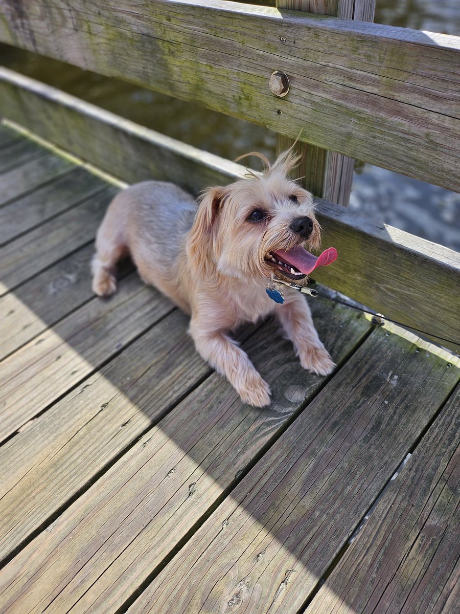 Ian’s Tech 📱💻💾 tweet media